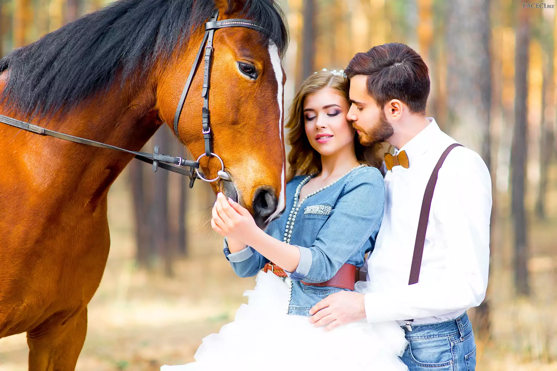 Koń, Kobieta, Mężczyzna